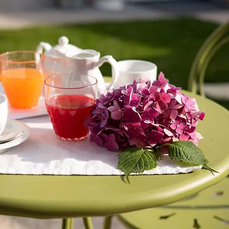 Hotiday Collection - 多洛